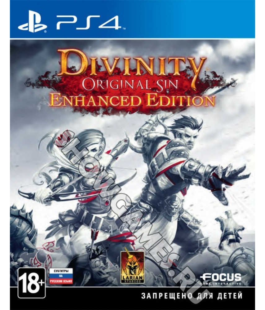 Divinity: Original Sin - Enhanced Edition (Русские субтитры) [PS4]