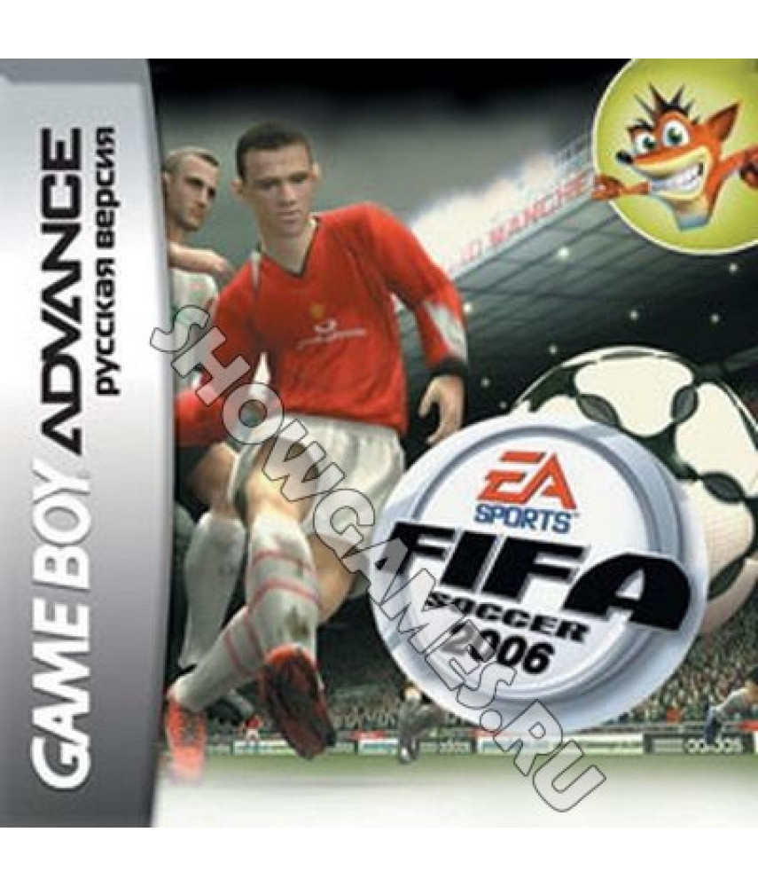 FIFA 06 (Русская версия)  [Game boy]