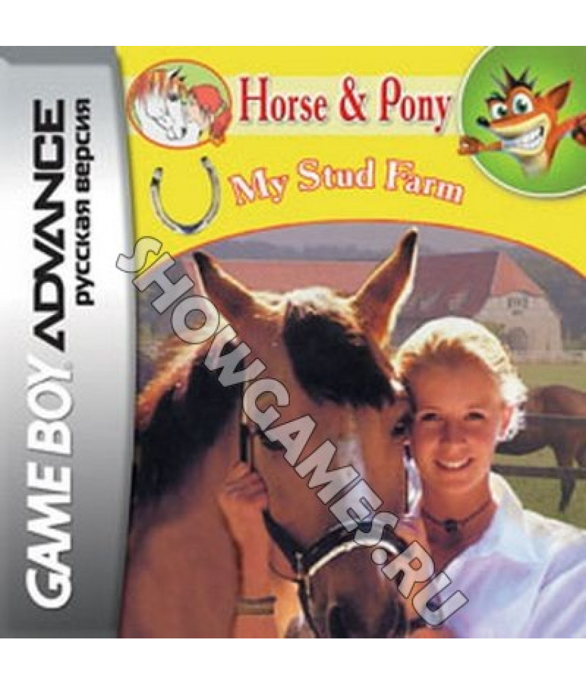 Horse and Pony - My Stud Farm  [GBA]