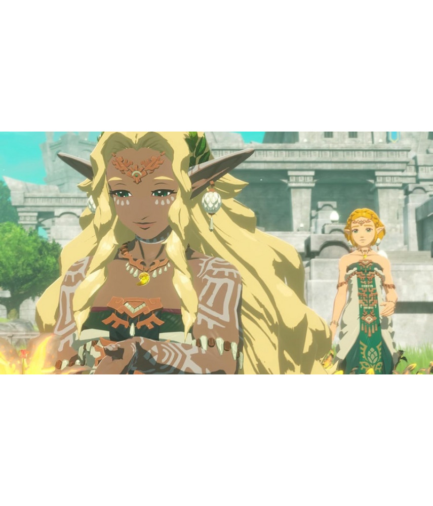 Hyrule Warriors: Age of Imprisonment (Nintendo Switch 2, английская версия)