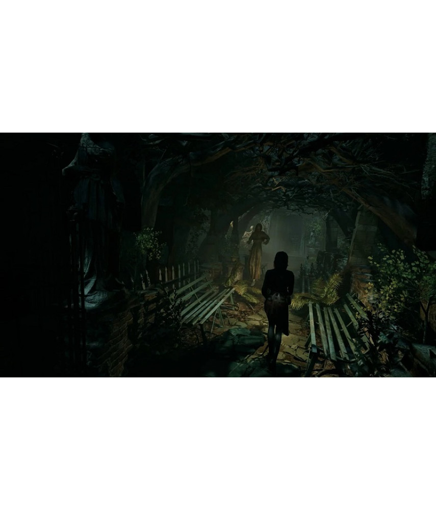 Tormented Souls II (Nintendo Switch 2, русские субтитры) Tormented Souls II (Nintendo Switch 2, русские субтитры)