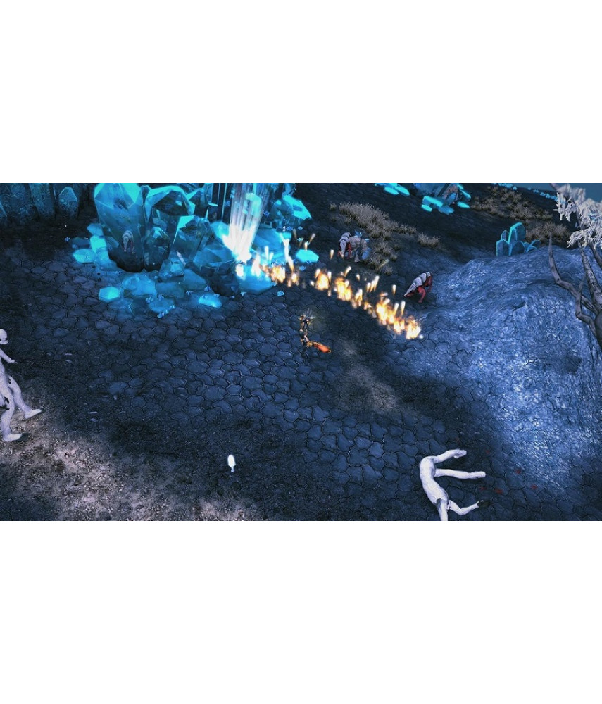 Sacred 2 Remaster (Nintendo Switch, английская версия)