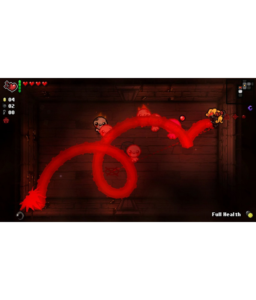 The Binding of Isaac: Repentance (Nintendo Switch, английская версия)