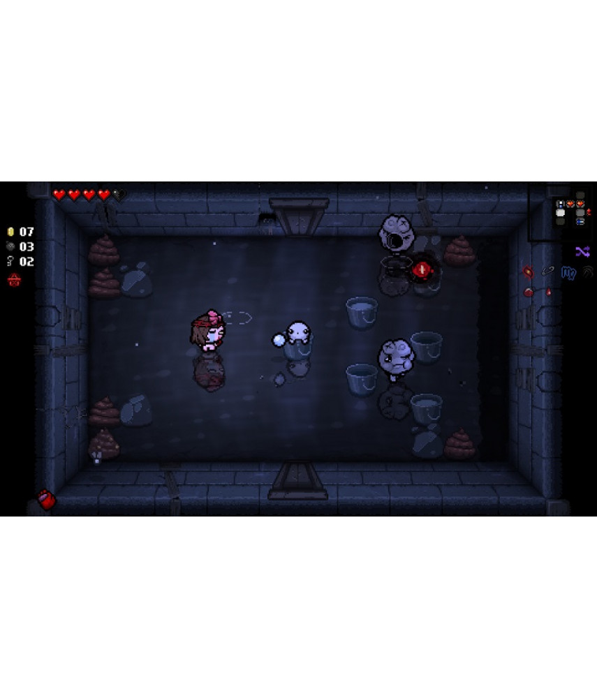 The Binding of Isaac: Repentance (Nintendo Switch, английская версия)