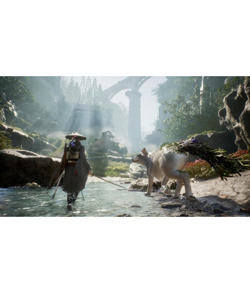 Beast of Reincarnation (PS5, английская версия)