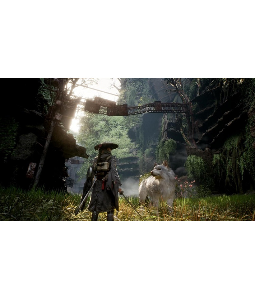 Beast of Reincarnation (PS5, английская версия)