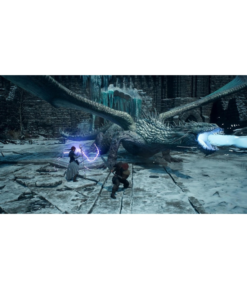 Dragon's Dogma 2: Dark Arisen (PS5, русские субтитры)