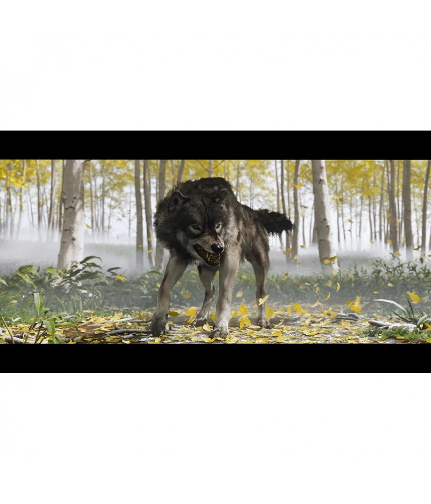Ghost of Yotei Complete Edition (PS5, русская версия) 