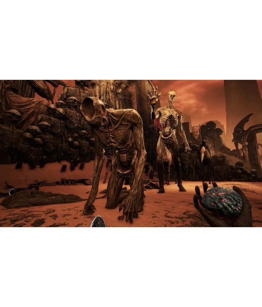 Necrophosis Full Consciousness + The Shore (PS5, русские субтитры)