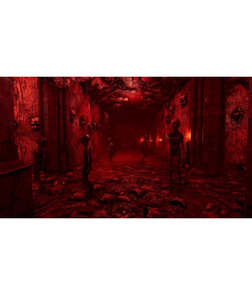 Necrophosis Full Consciousness + The Shore (PS5, русские субтитры)
