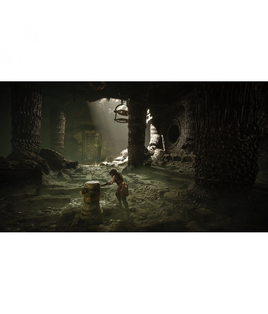 Resonance: A Plague Tale Legacy (PS5, русские субтитры)